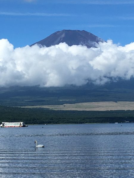 山中湖と富士山と白鳥
