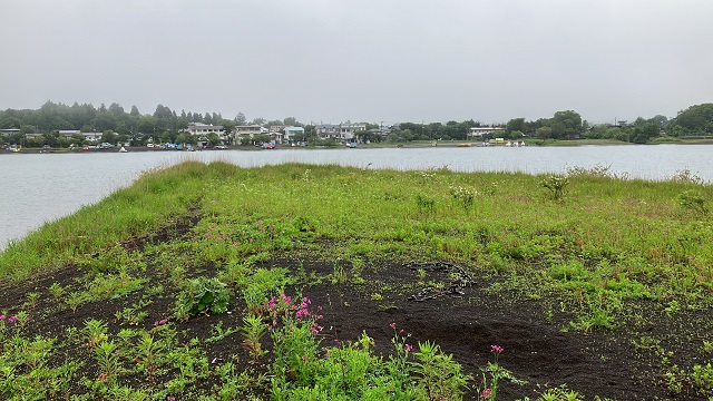 お約束　あの場所