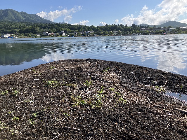 あの場所の先っぽ