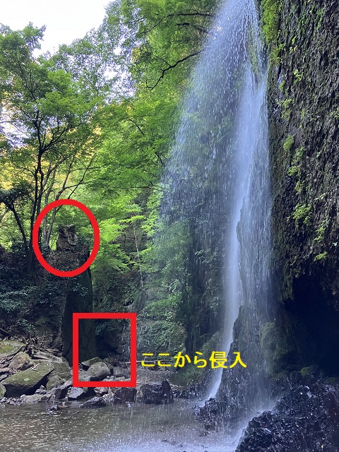 フクロウの様な岩