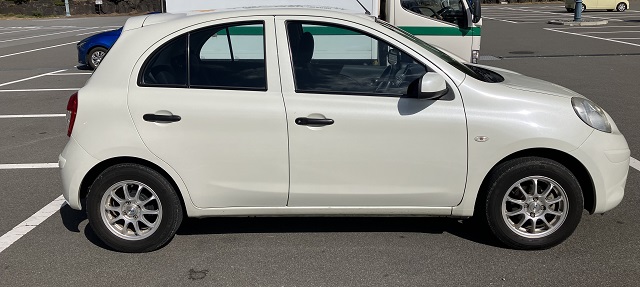 今回この子が大活躍