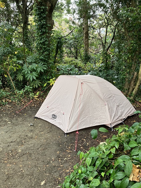 おニューのテント