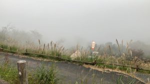 風雨が強まってきた